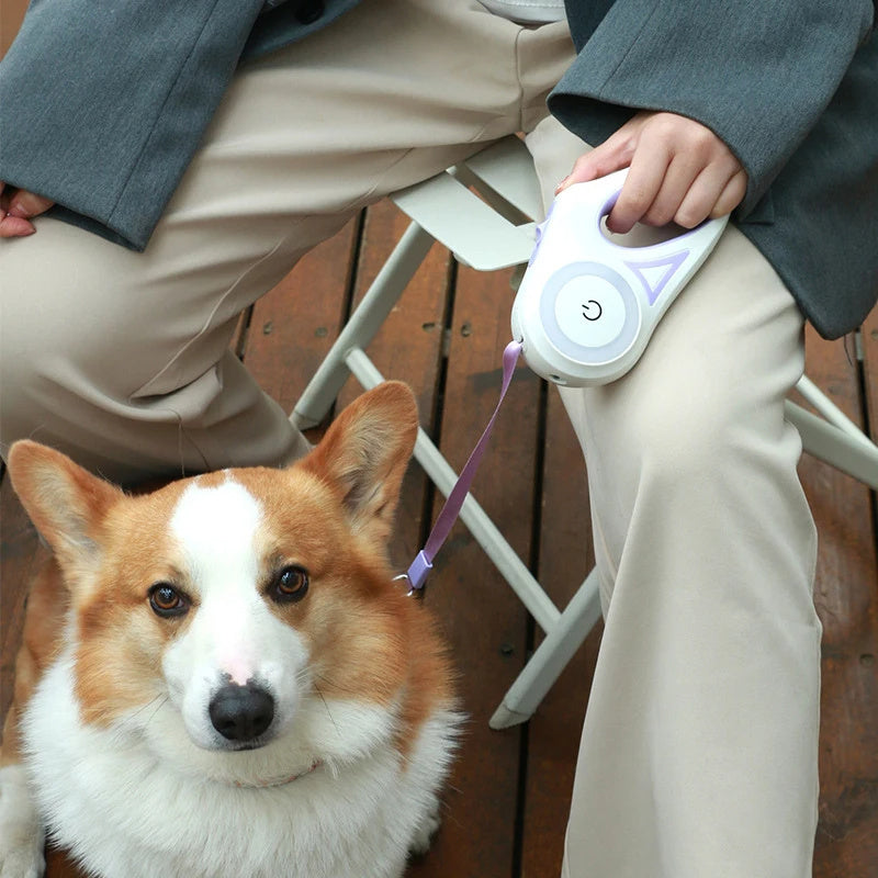 Retractable Pet Leash with Light